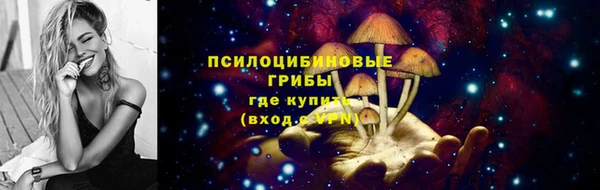 прущие крисы Алзамай