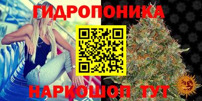 спиды Волжск
