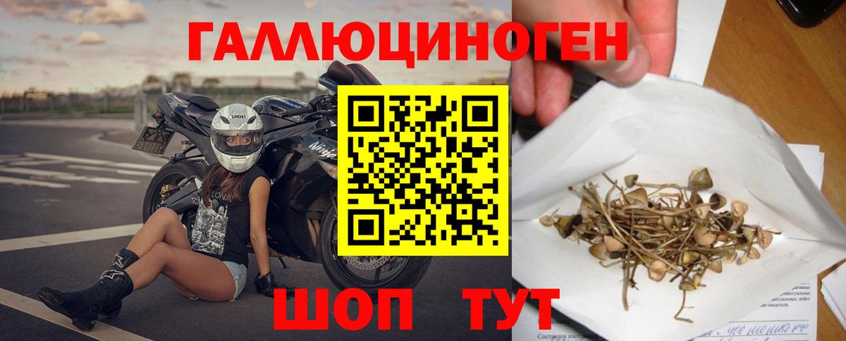 Лабытнанги  Галлюциногенные грибы Cubensis  Вход с VPN 